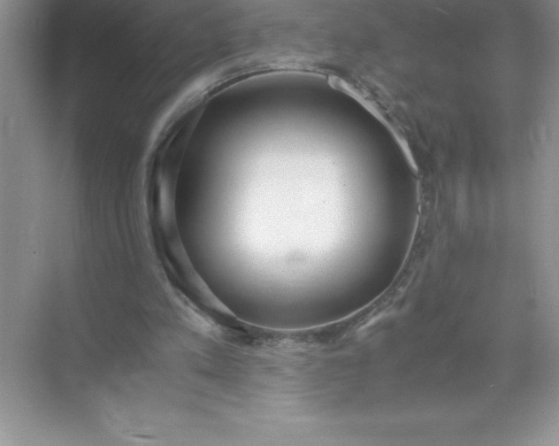 X0000071950197200607212235