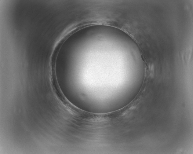 X0000071950198200607212235