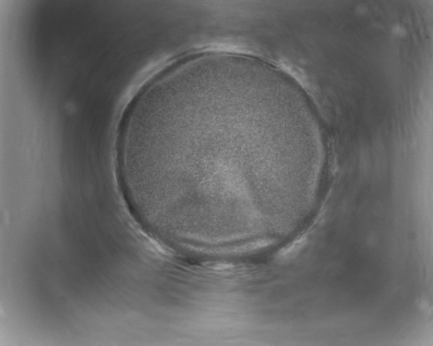 X0000071950199200607212235