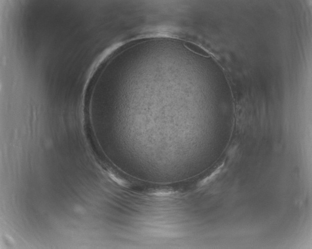 X0000071950200200607212235