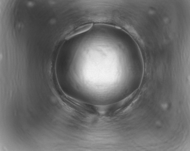 X0000071950201200607212235