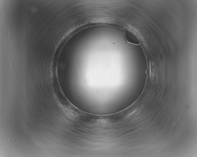 X0000071950204200607212235