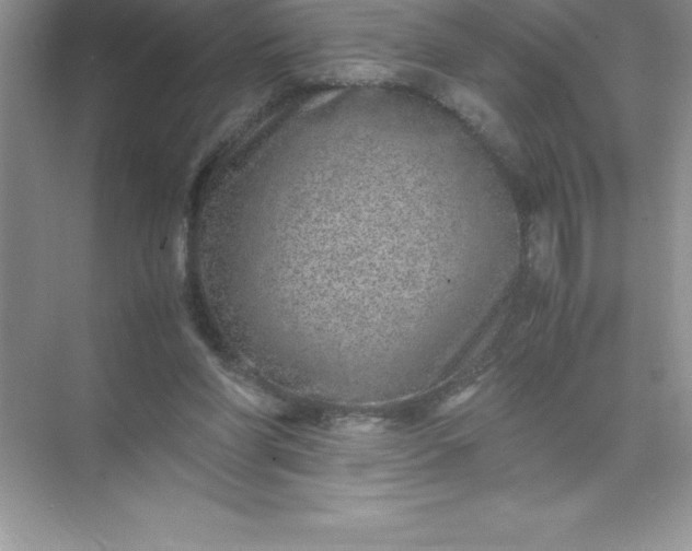 X0000071950206200607212235