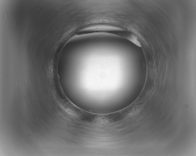 X0000071950207200607212235