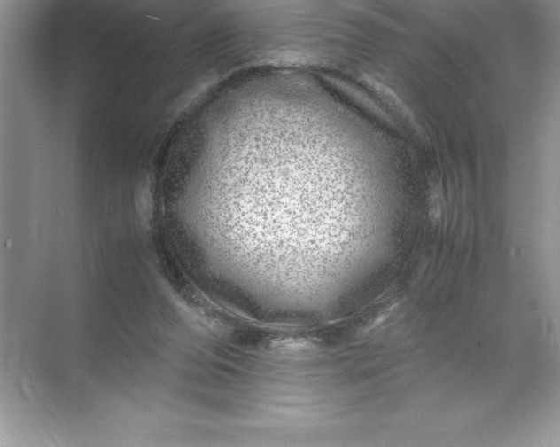 X0000071950208200607212235