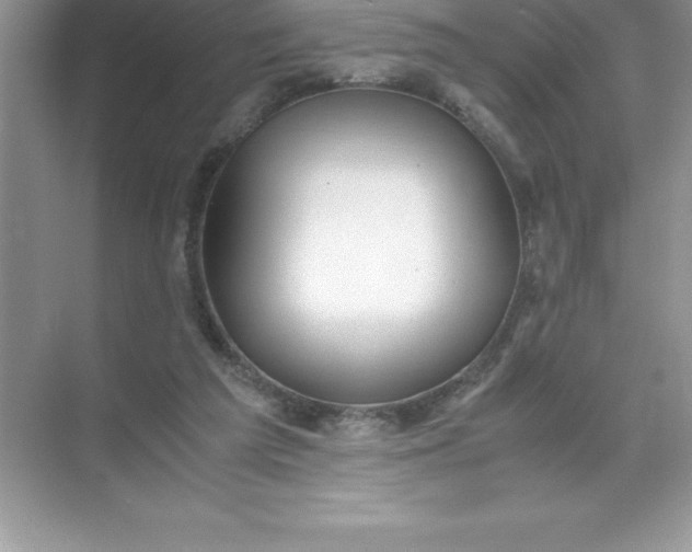 X0000071950209200607212235