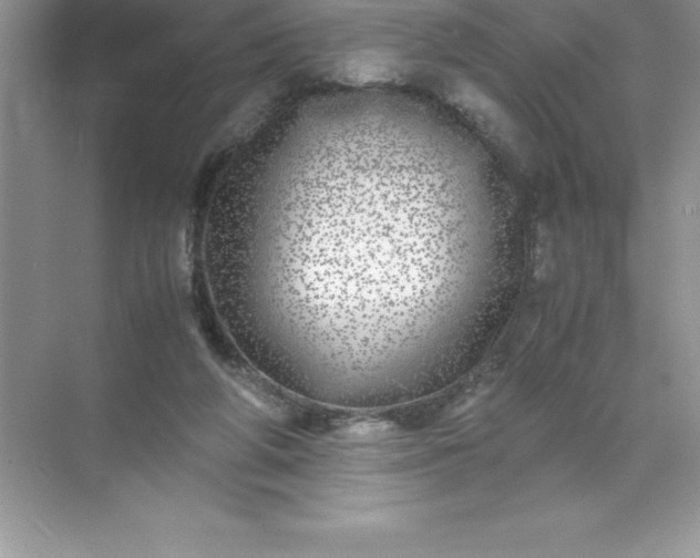 X0000071950210200607212235