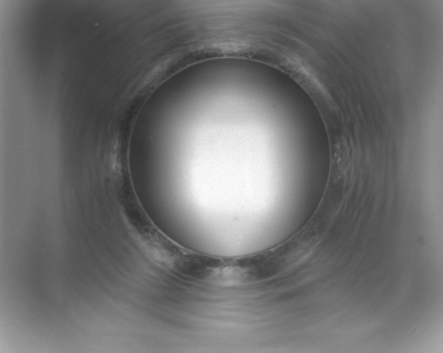 X0000071950212200607212235