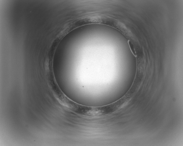 X0000071950213200607212235