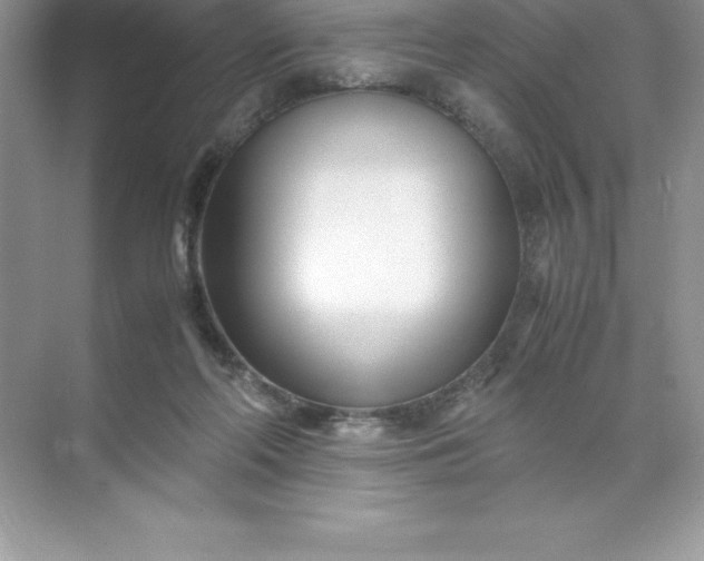 X0000071950214200607212235