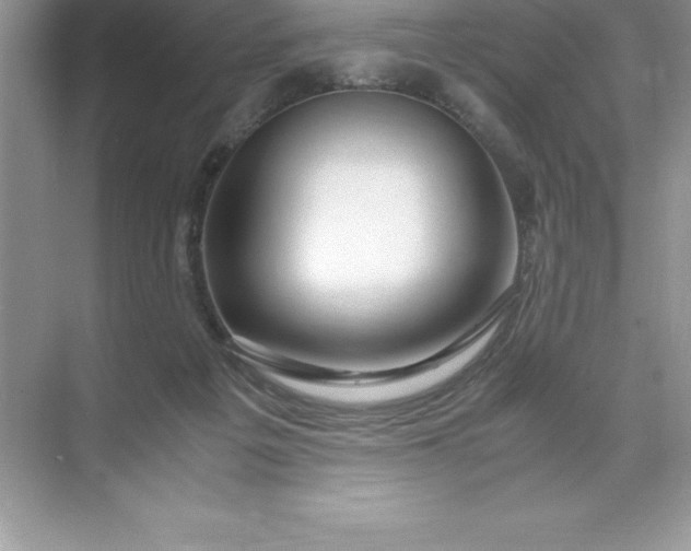 X0000071950217200607212235