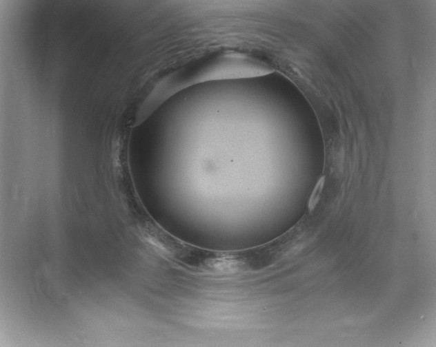 X0000071950219200607212235