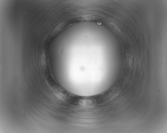 X0000071950220200607212235