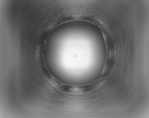 X0000071950221200607212235