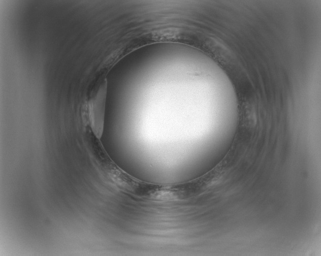 X0000071950224200607212235