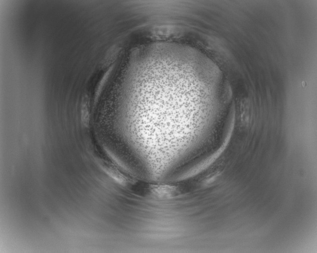 X0000071950226200607212235