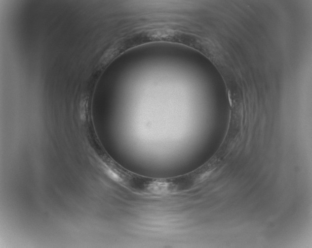 X0000071950227200607212235