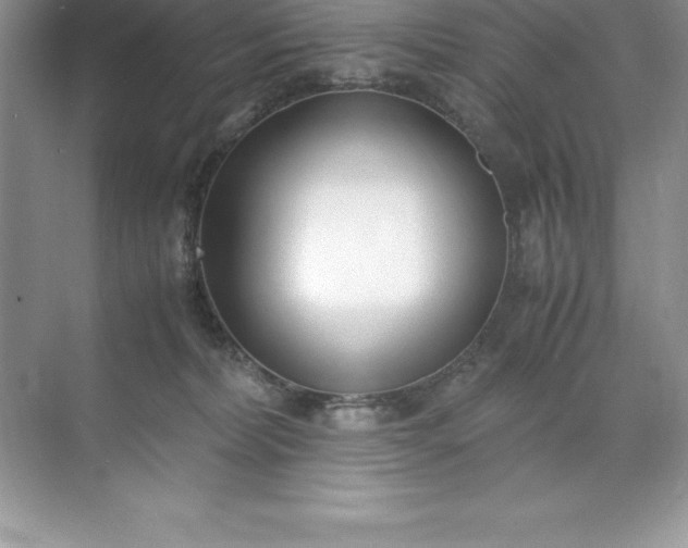 X0000071950228200607212235