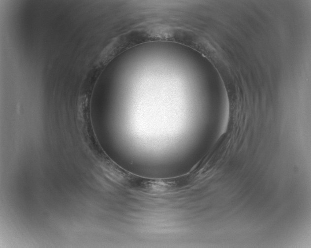 X0000071950229200607212235