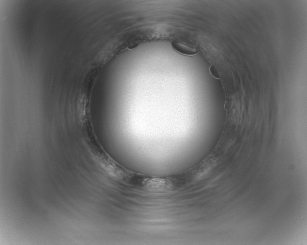 X0000071950230200607212235