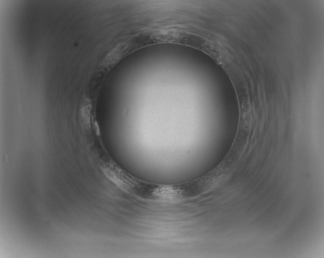 X0000071950231200607212235