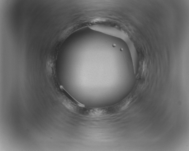 X0000071950235200607212234