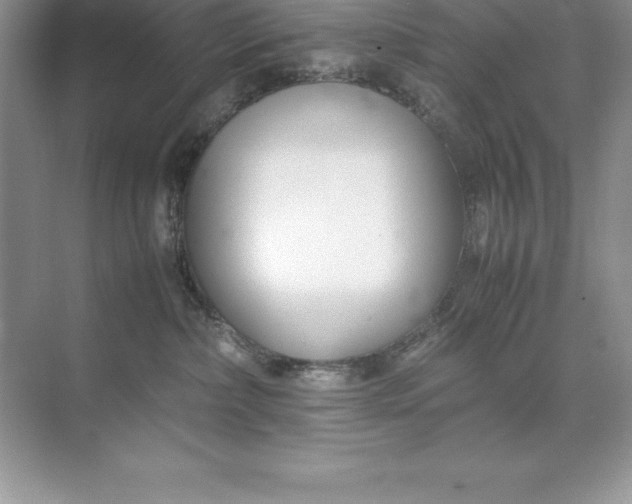 X0000071950236200607212234