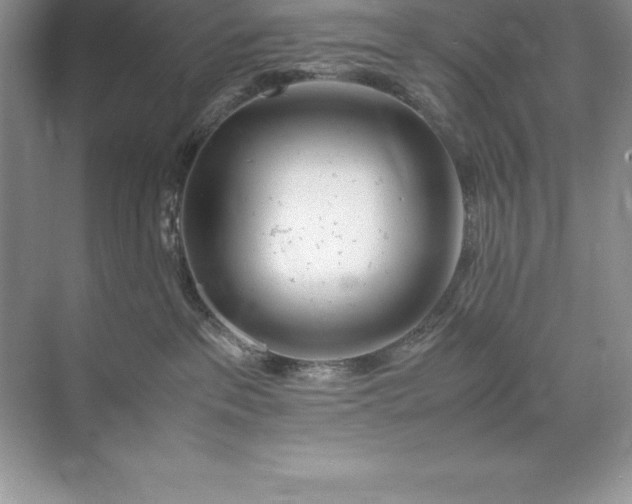 X0000071950237200607212234