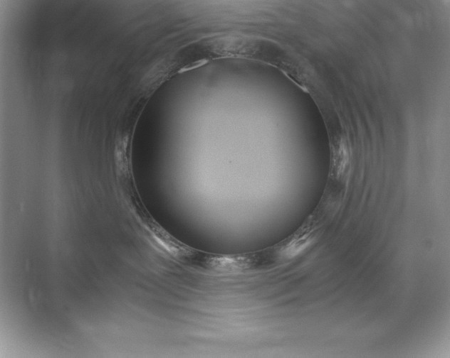 X0000071950239200607212234