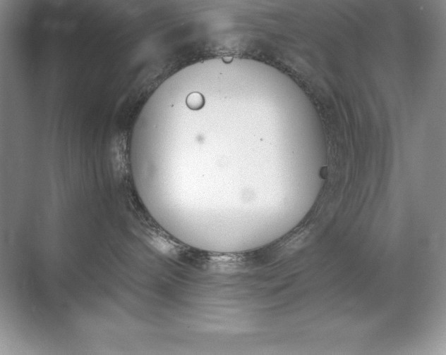 X0000071950240200607212234