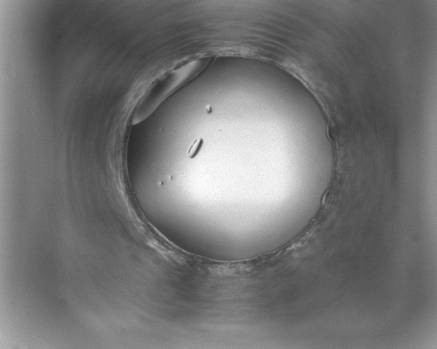 X0000071950241200607212234