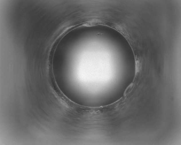 X0000071950243200607212234