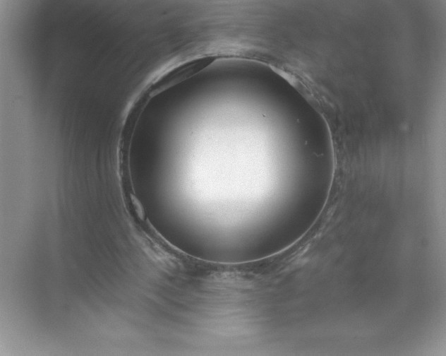 X0000071950244200607212234