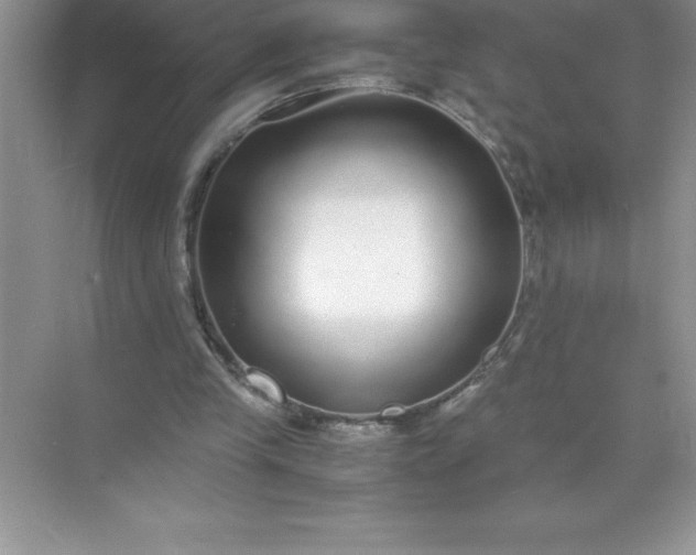 X0000071950245200607212234