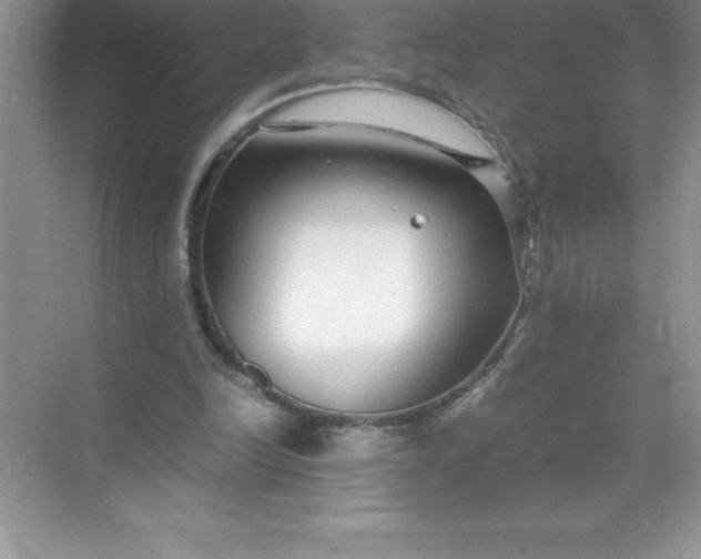 X0000071950246200607212234