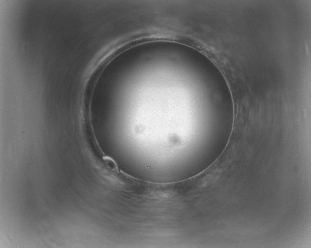 X0000071950247200607212234