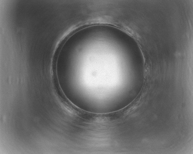 X0000071950248200607212234