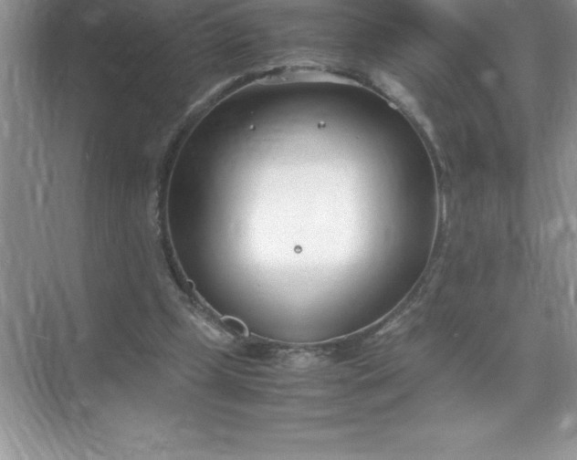 X0000071950249200607212234