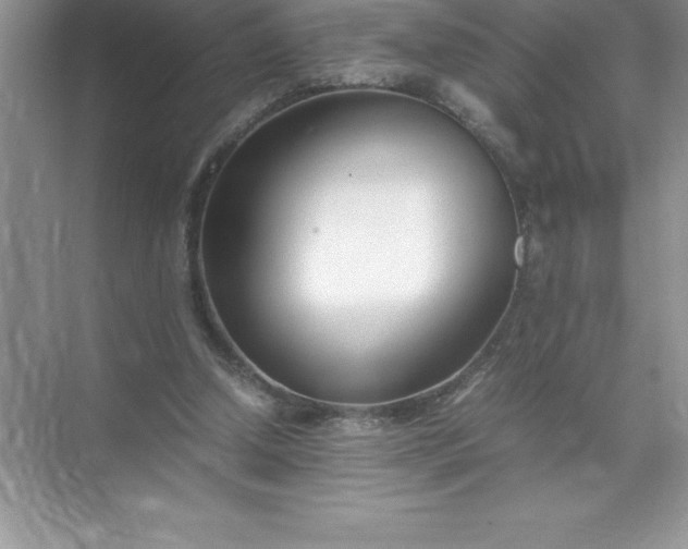 X0000071950250200607212234