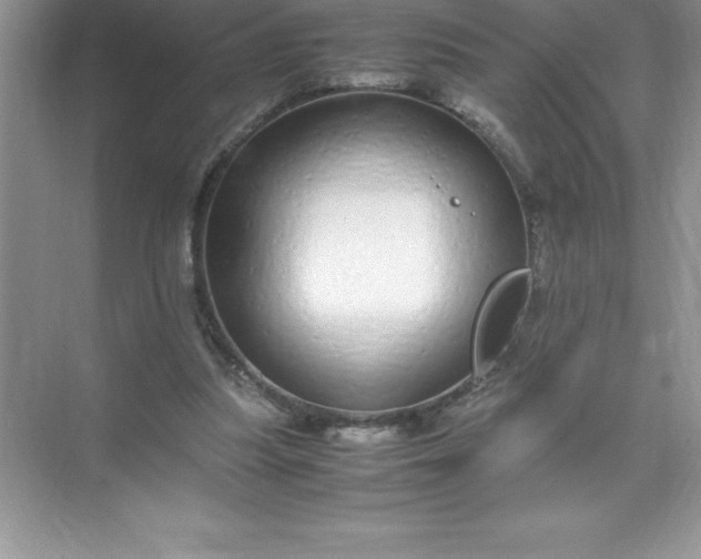 X0000071950251200607212234