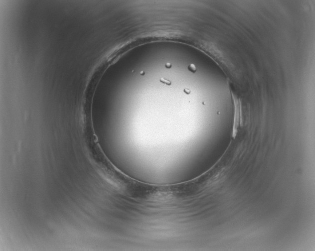 X0000071950252200607212234