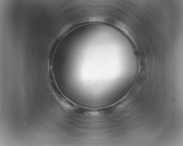 X0000071950253200607212234