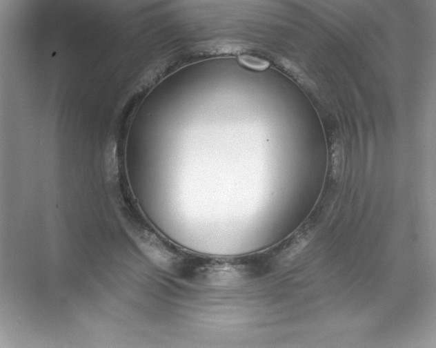 X0000071950254200607212234