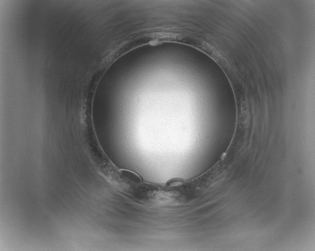 X0000071950255200607212234