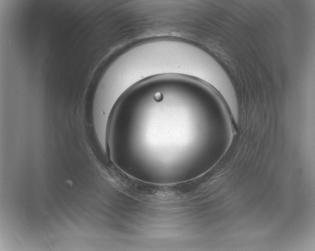 X0000071950256200607212234