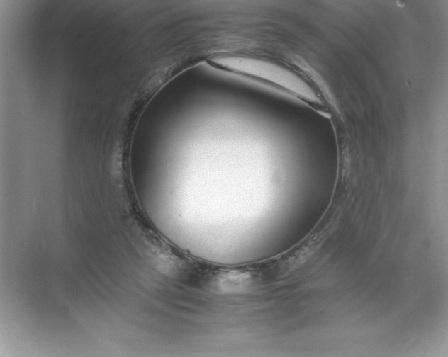 X0000071950257200607212234