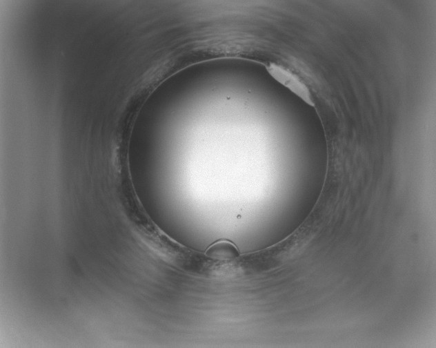 X0000071950258200607212234