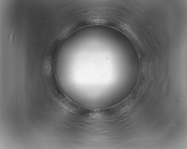 X0000071950259200607212234