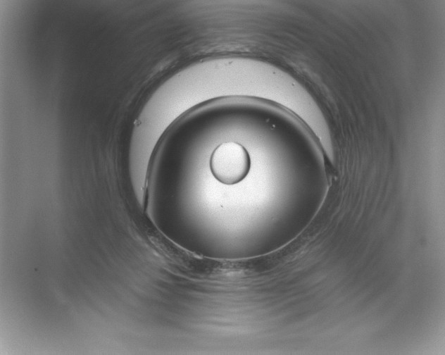 X0000071950260200607212234