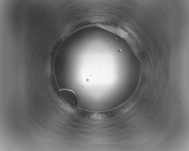 X0000071950261200607212234